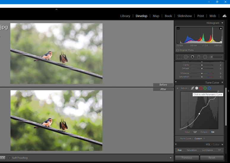 Switch between parametric and point curves in Adobe Lightroom Classic