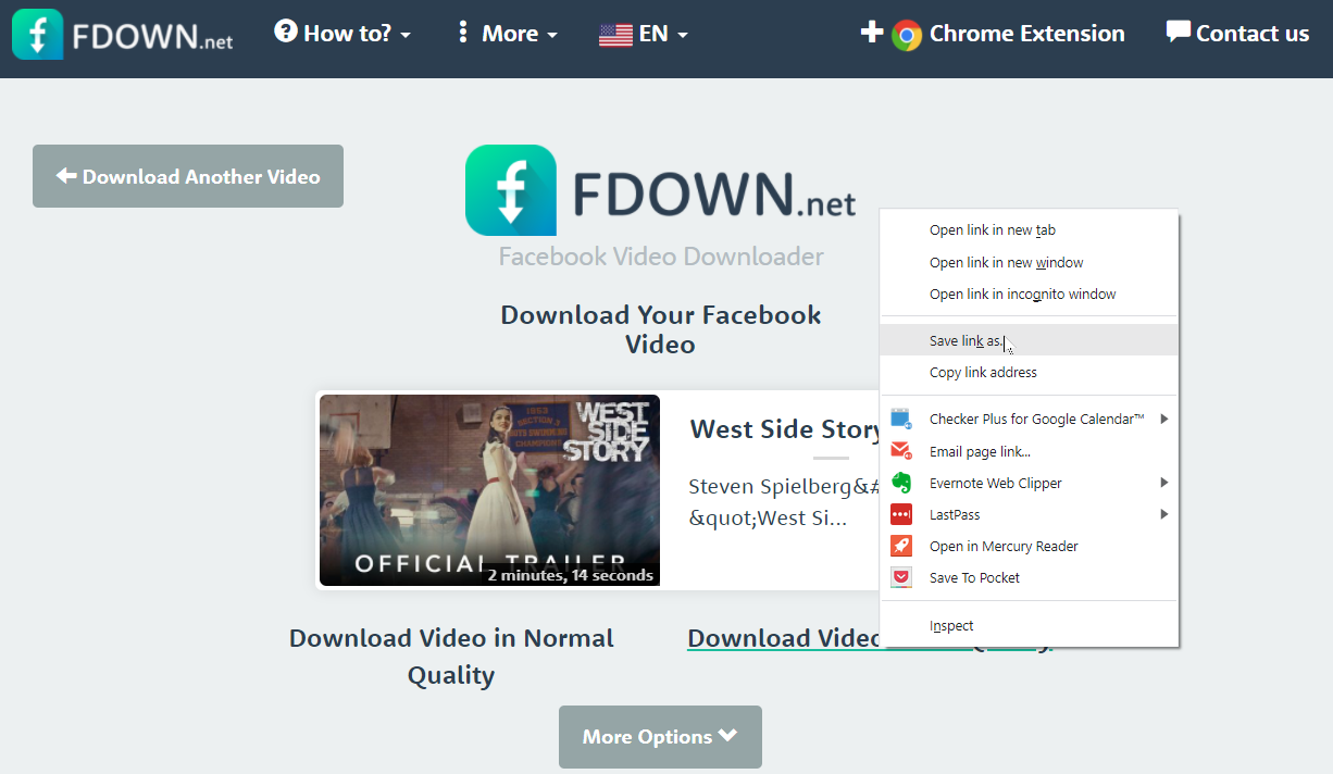 Fdown.net