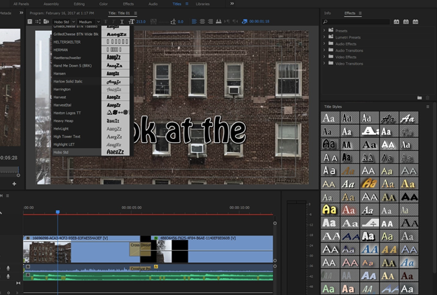 Text Titles with stroking in Premiere Pro